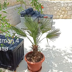 Apartman Zeljka, Salatić